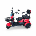 Triciclo Família Zig